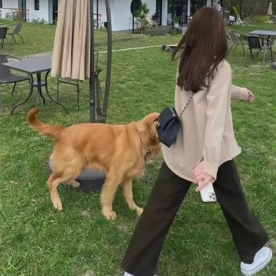 清宫气数录粤语