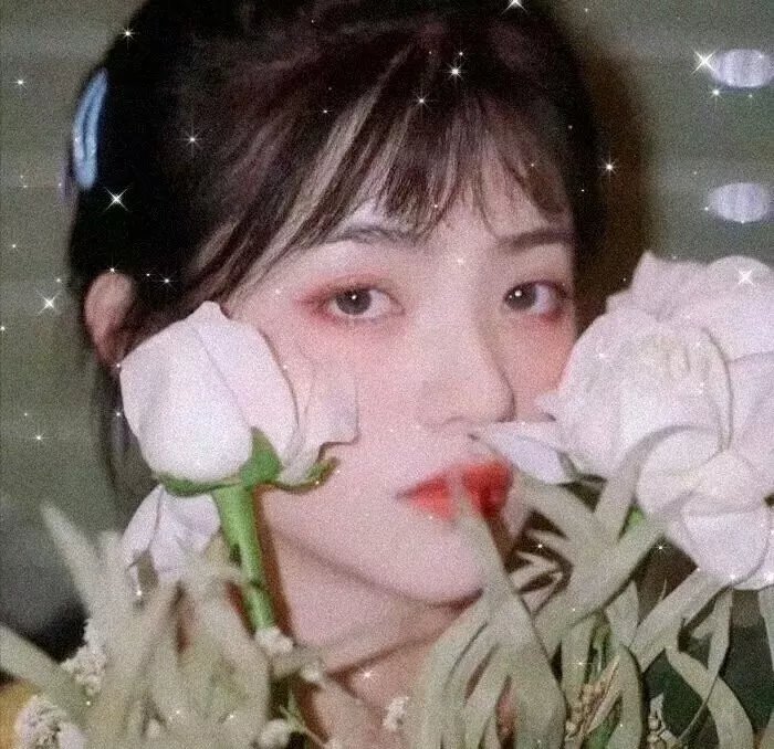 夏之妹